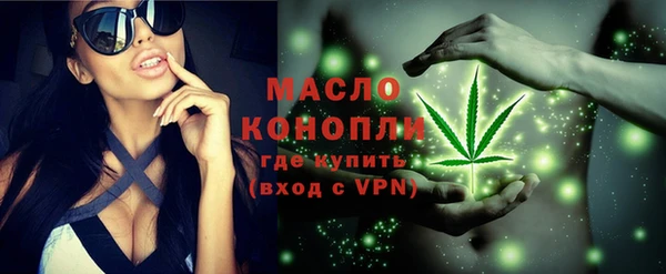 дмт Новодвинск
