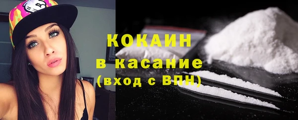 дмт Абаза
