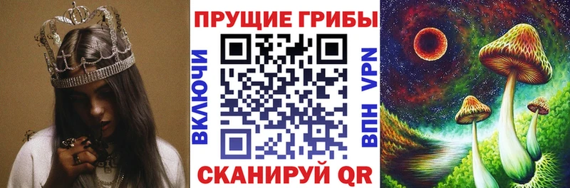 Псилоцибиновые грибы GOLDEN TEACHER  Сергач 